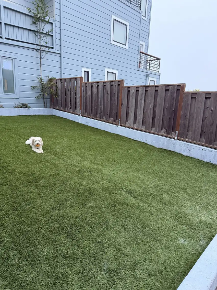 The private backyard